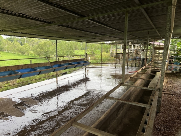 Finca Lechera en Costa Rica